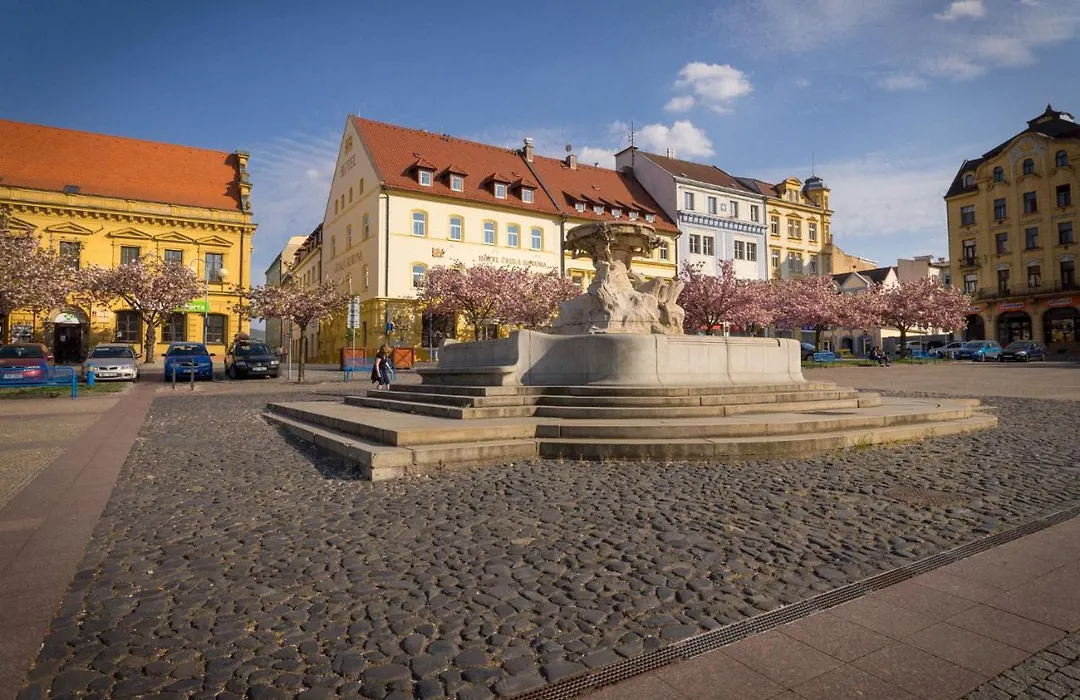 Hotel Ceska Koruna-1