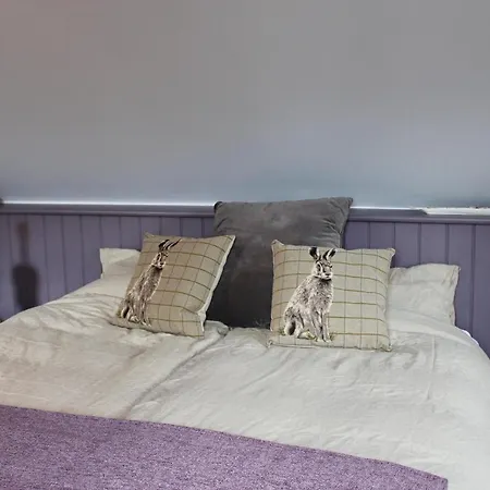 Bungalow 500 Bed And Breakfast-3
