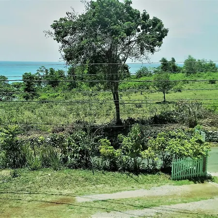 Toga Guest House-3