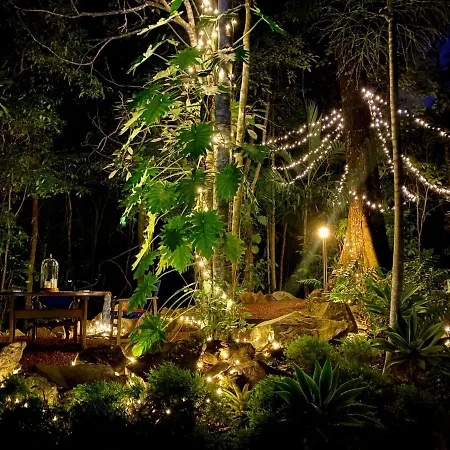 Cairns Rainforest Retreat-3