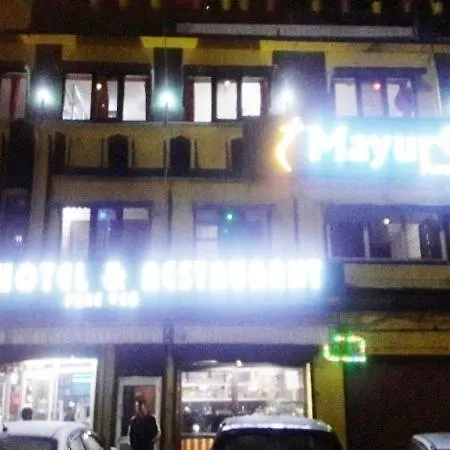 Mayur Hotel And Restaurant-3