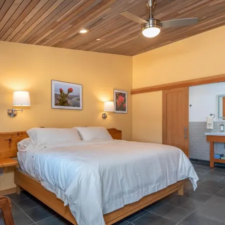Wildflower Boutique Motel-2