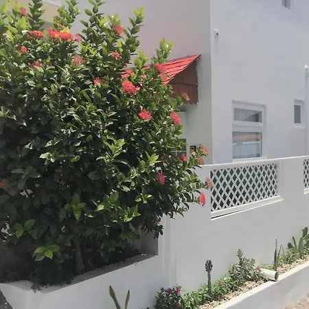 Cleopatra Villas - Sea View-3