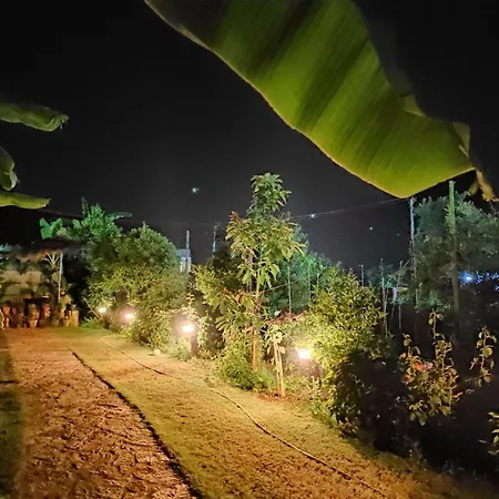 Guesthouse Vila Druri Dhermi-3