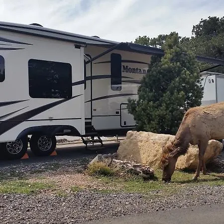 Trailer Village Rv Park-2