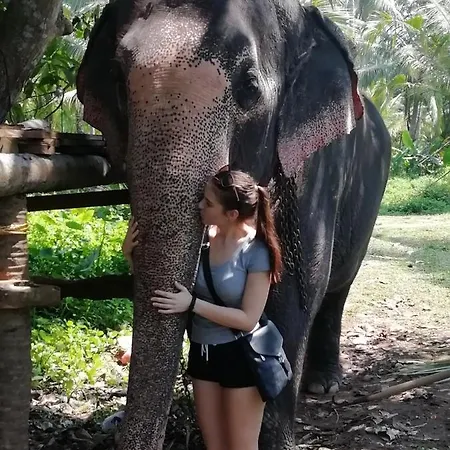 Rainbow Beach Resort-3