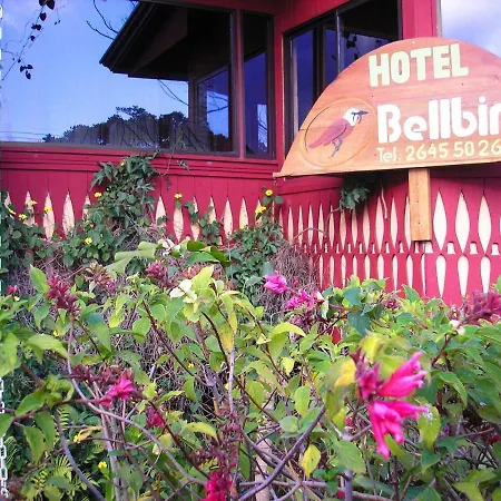 Hotel Bell Bird-2
