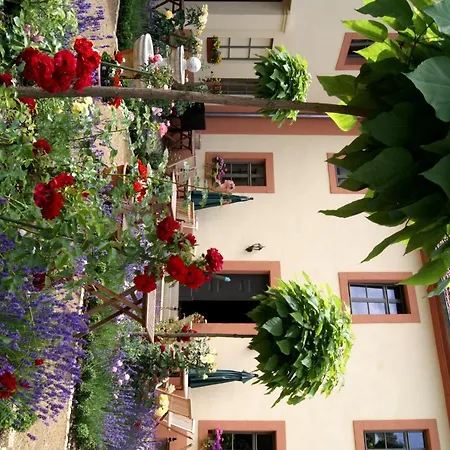 Hofgärtnerei-3