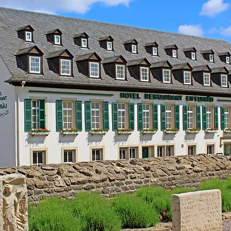 Hotel Eifelbraeu-2