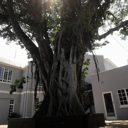 Dawson Manor Guest House-3