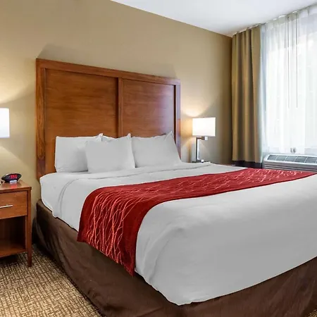 Comfort Inn & Suites Near Mt Rushmore-2