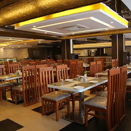 The Curzon Court-2