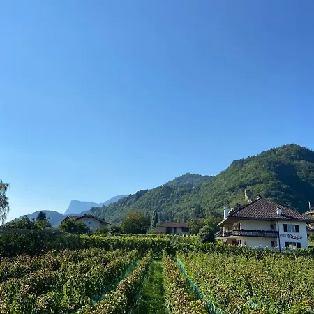 Pension Rebgut-3