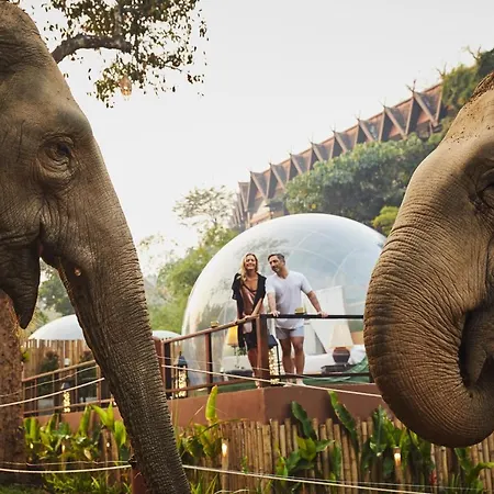 Anantara Golden Triangle Elephant Camp & Resort-3