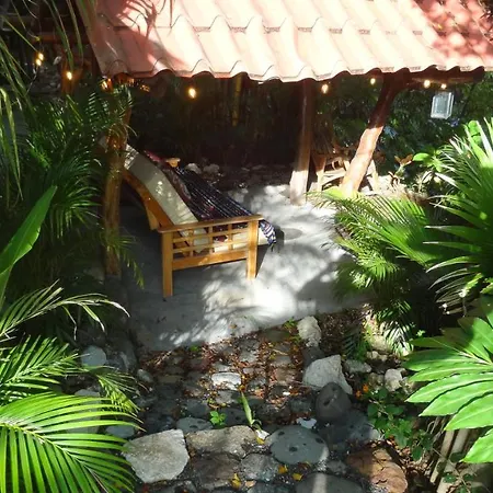 Nosara Sunrise Bed And Breakfast-3