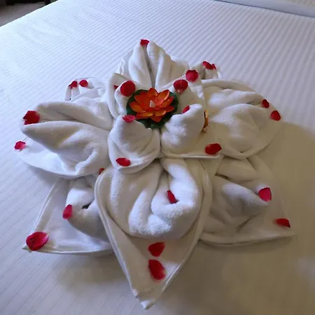 Mayuraa Residency-2