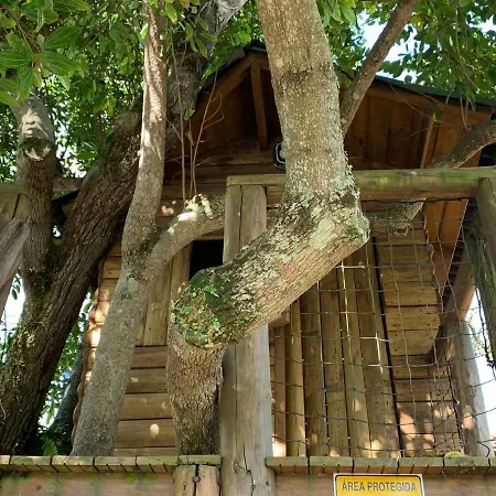 Beach House Floripa-2