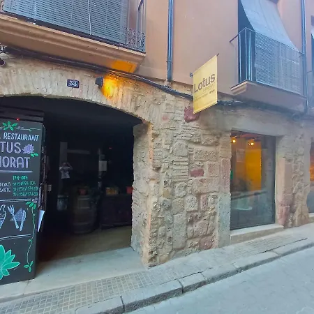 Hotel Restaurant Lotus Priorat-3
