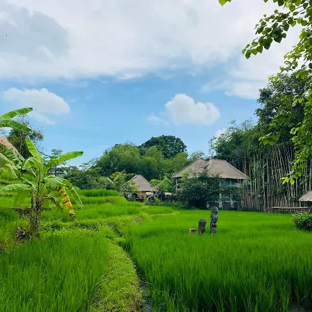 Kts Balinese Villas-2