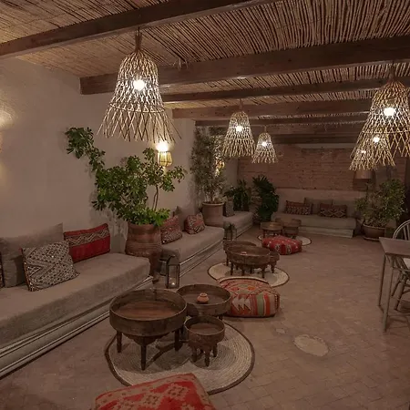 Riad Farhan-3