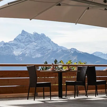Viu Hotel Villars-2