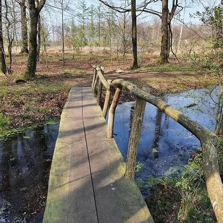 B&B Drenthe-2