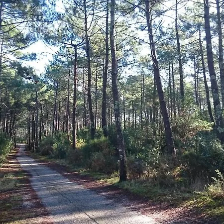 Un Matin D’été-2