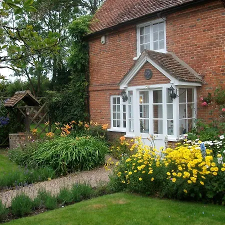 Vine Cottage-2
