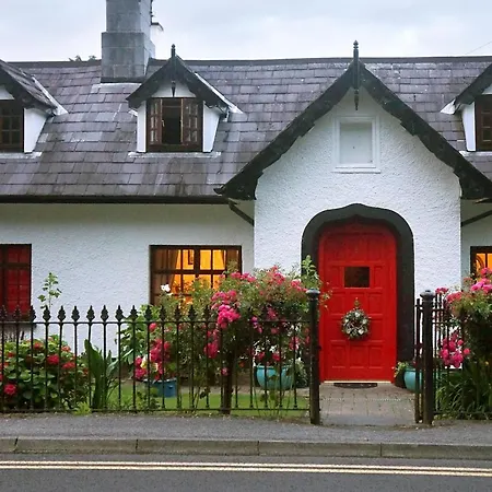 Ivy Cottage B&B-2