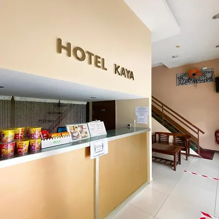 Oyo 90108 Hotel Kaya-3