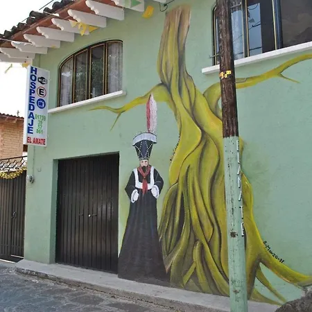 El Amate-3