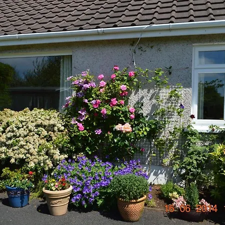 Meadow View B&B-3