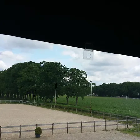 B&B Manege Groenewoude-3