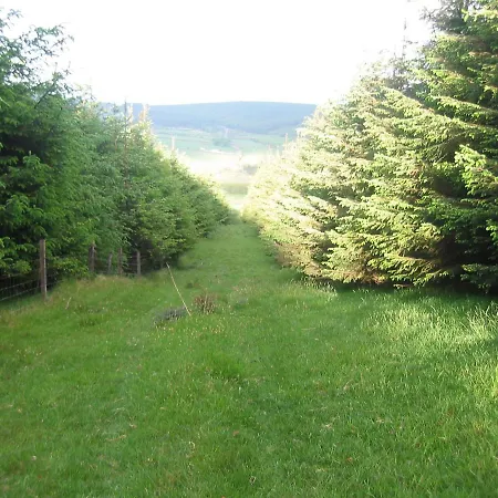 The Dales-2
