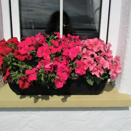 Breacan Cottage B&B-2