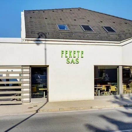 Fekete Sas Motel-2