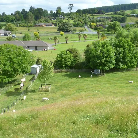Bellarosa B&B-2
