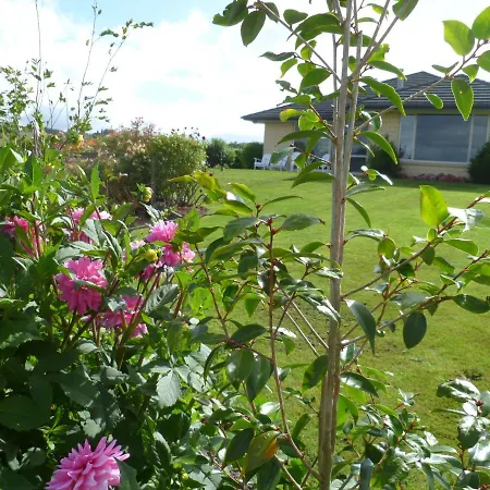 Bellarosa B&B-3