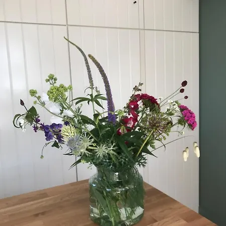 B&B Trefkerk-3