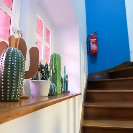 The Red House-3