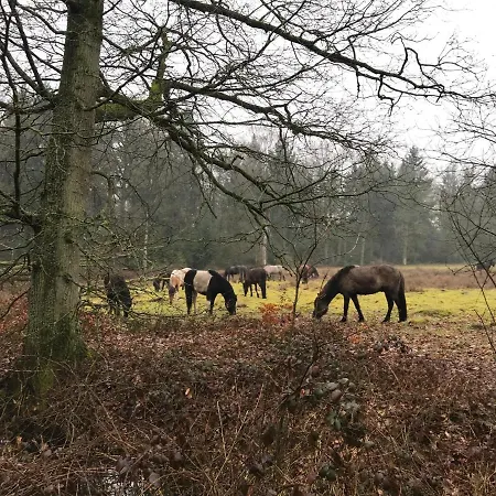 De Kempse Hoeve B&B-3