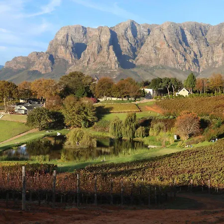 Alluvia Boutique Winery & Luxury Accommodation-2