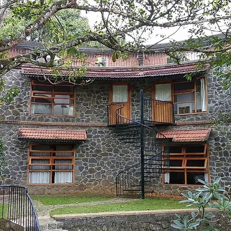 Wildernest-2