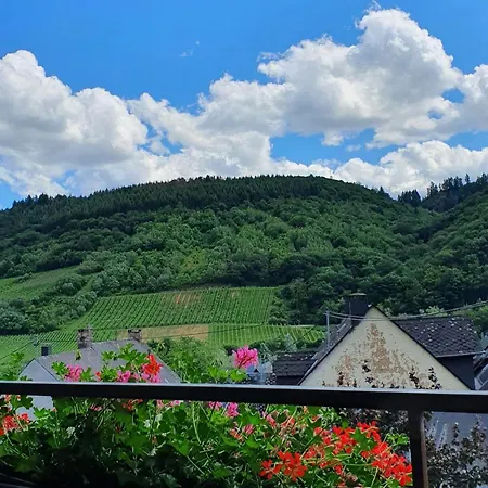 Ferienweingut Stein-2