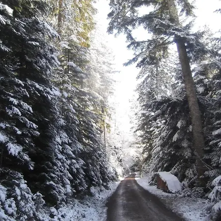 Schwarzwald-Gasthof Hirsch-2