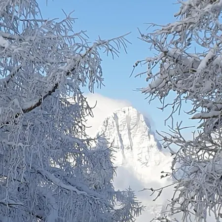 Höss-Alpin-Lodge-3
