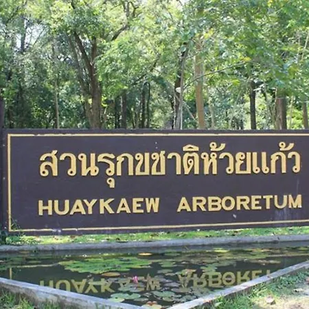 XX Go Inn Chiang Mai University - Cmu-3