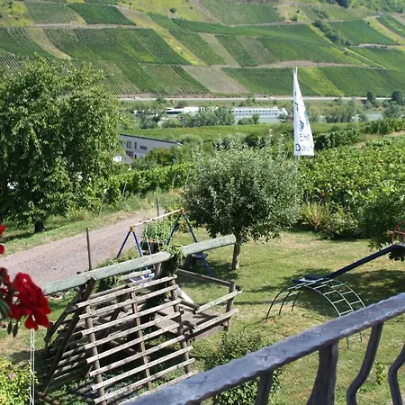 Weingut-Brennerei-Gästehaus Emil Dauns-2