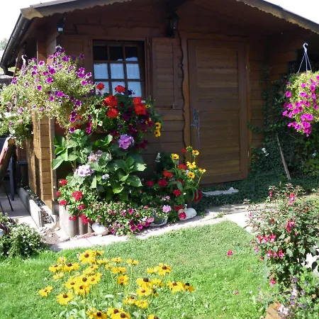 Pension Haus Ludwig-3