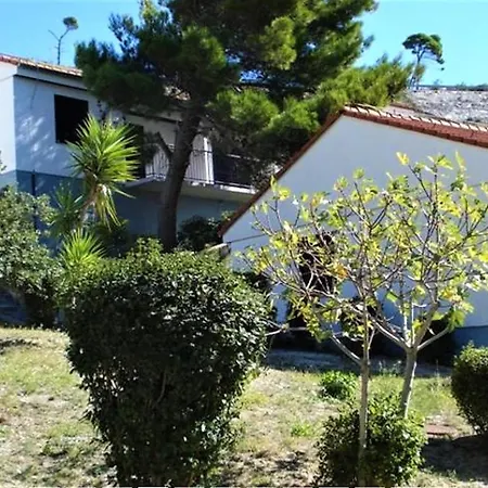 Beach Resort Mala Luka-2